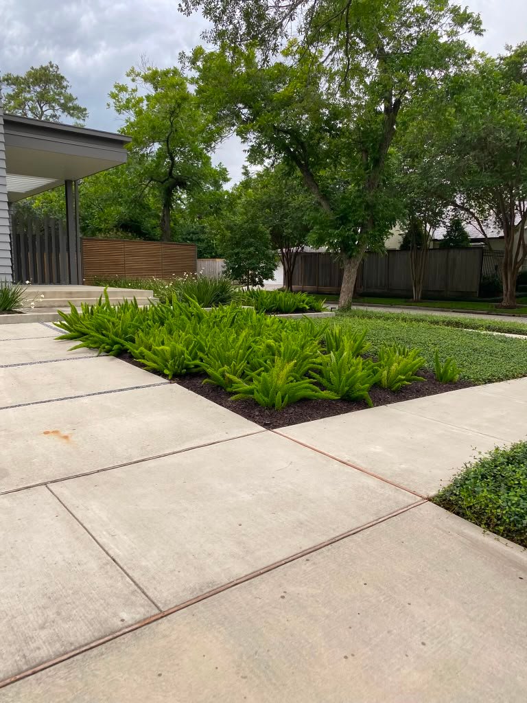 Plants added to a refreshed residential landscape bed